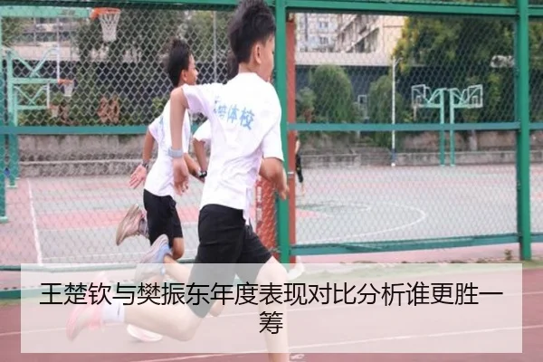 王楚钦与樊振东年度表现对比分析谁更胜一筹