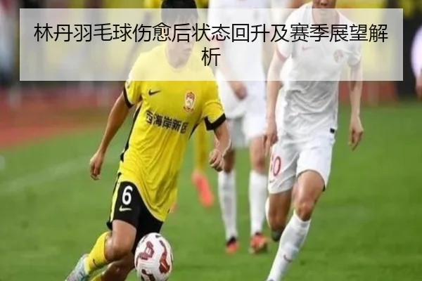 林丹羽毛球伤愈后状态回升及赛季展望解析