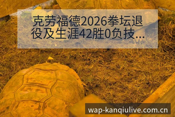 克劳福德2026拳坛退役及生涯42胜0负技术特点分析 - 看球直播